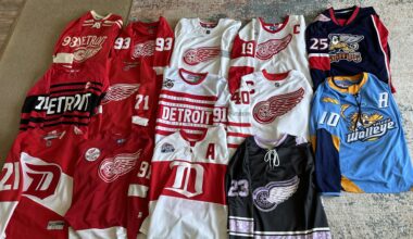 I need more Red Wings related jerseys.