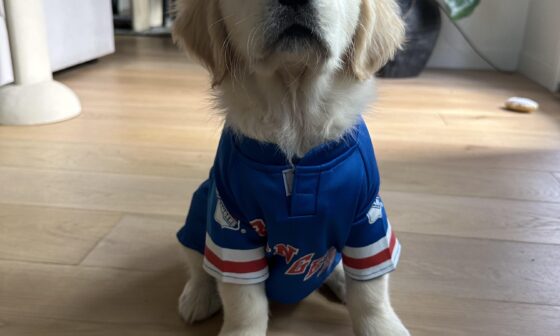 Rangers newest fan. She is so proud in her jersey.