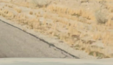 That last one though, he listens well!