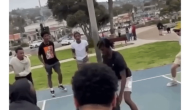 Little kid knows how to play ball