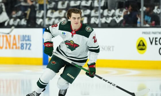 Wild Prospect Liam Ohgren Shows Promise In Late-Season Audition