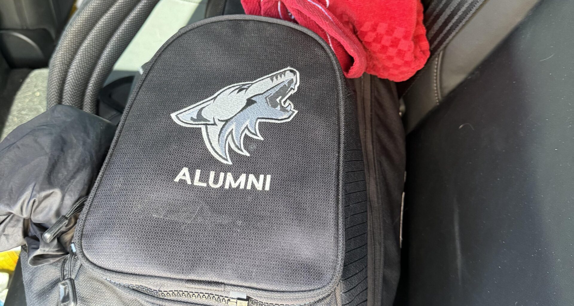 Has anyone seen these or have info on them?