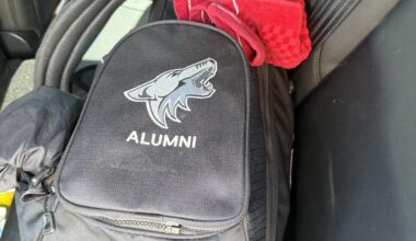 Has anyone seen these or have info on them?