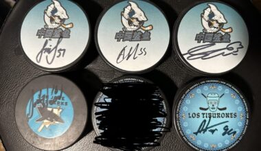 sharks stuff for sale