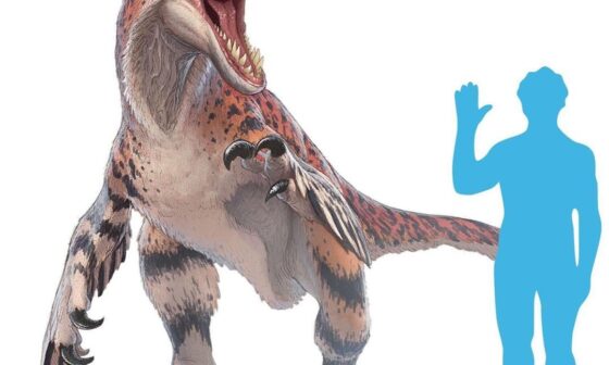 Guess the Raptors player based on the real Raptor Day 2: Utahraptor ostrommaysi (hints in description below)