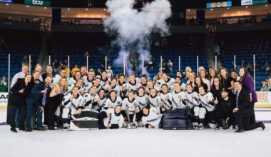 Anyone else see Big Bird in the fog ?