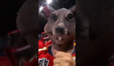 It Rained Rats In Florida 🐀