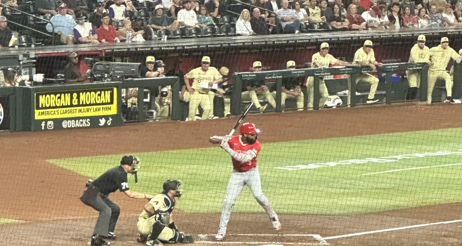 First time seeing the Halos in person