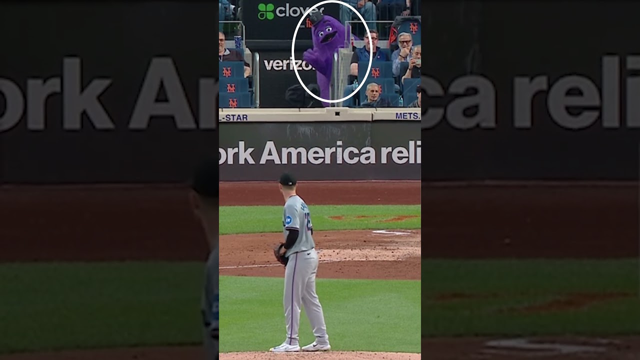 You never know who you'll see at a baseball game 🤣