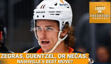 Should the Nashville Predators Pursue Trevor Zegras, Jake Guentzel, or Martin Necas? | NHL Podcast