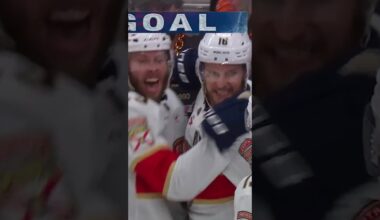 Panthers answer! Or DO they!? 🔍🙀