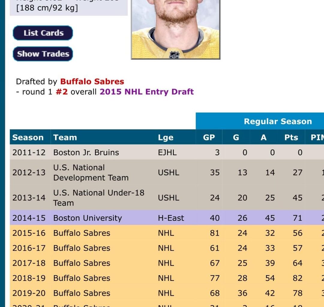 HockeyDB started added little trophies next to seasons where a player won the championship