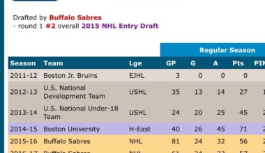 HockeyDB started added little trophies next to seasons where a player won the championship