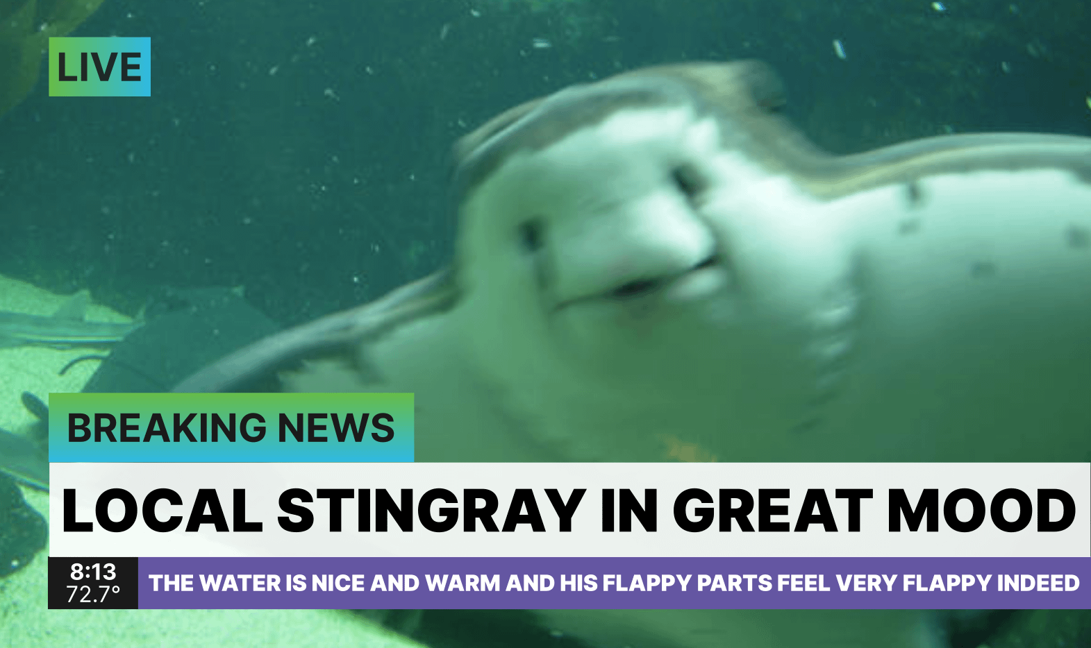 PGT: The bats roar to life as the Tampa Bay Rays prove the superiority of flappy sea creatures and get back to .500 on the year by crushing the Seattle Mariners with an eleven-run, eleven-hit night! [F: 11-3]