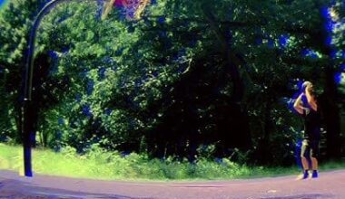 What did you do today?