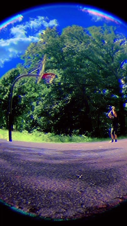 What did you do today?