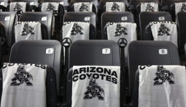 Coyotes Owner Meruelo Folding What’s Left of the NHL Franchise