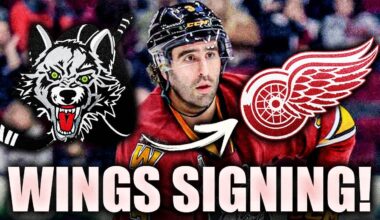 STEVE YZERMAN MAKES ANOTHER MOVE: DETROIT RED WIGNS SIGN A D-MAN (Tory Dello)