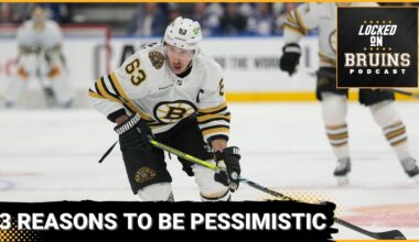 3 Reasons to be pessimistic about the 2024-25 Boston Bruins