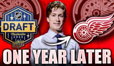 One Year Later: How NATE DANIELSON Went From A HUGE RED WINGS REACH To PROVING EVERYBODY WRONG