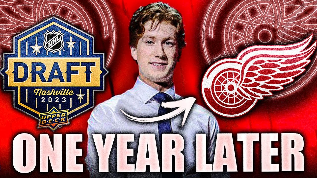 One Year Later: How NATE DANIELSON Went From A HUGE RED WINGS REACH To PROVING EVERYBODY WRONG