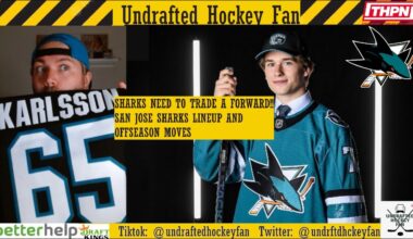 2024-25 San Jose Sharks Lineup and Offseason Review