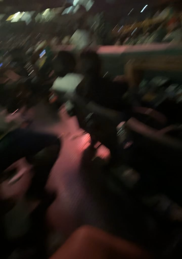 Happy 4th 🇺🇸🐘