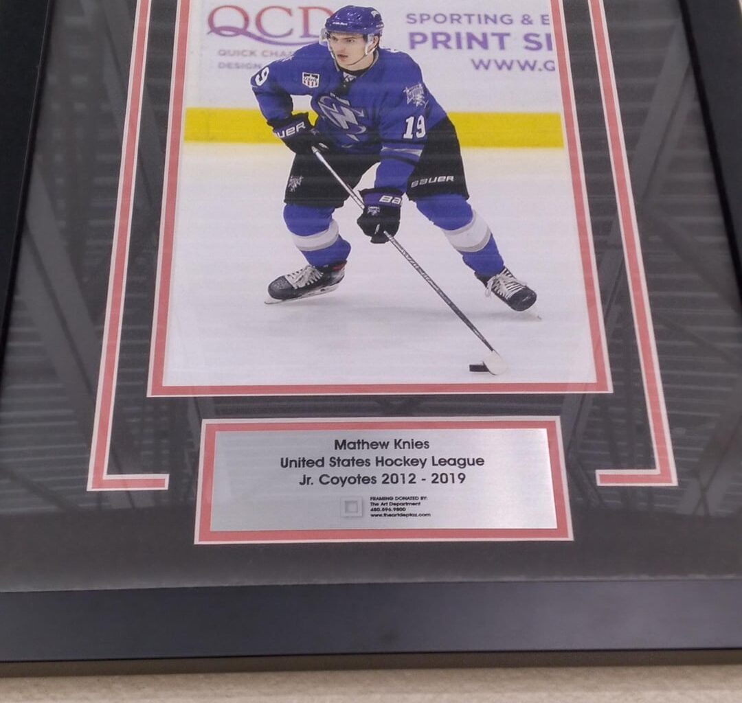 Ice den scottsdale today