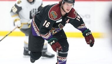 Wells, McGregor, Gavin Ink For 2024-2025 - TucsonRoadrunners