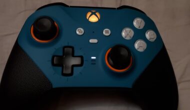 Wanted to have every color theyve worn represented.