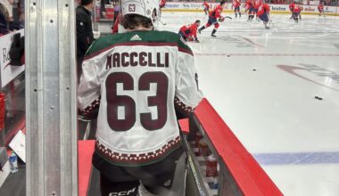 Memories from the final Yotes game I saw in person back in March