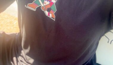 JJ Watt Ownership Confirmed