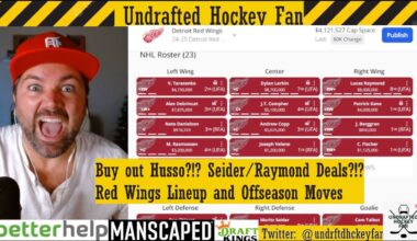 2024-25 Detroit Red Wings Lineup and Offseason Review
