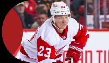 [Corey Pronman] Detroit Red Wings rank No. 14 in NHL Pipeline Rankings for 2024