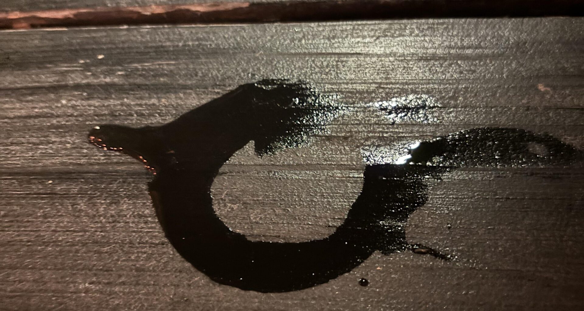 Random ass buffalo guy who saw this in my cups. Stanley Cup pretty much guaranteed.