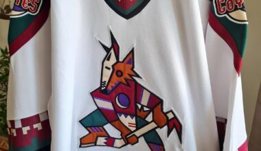 An absolute steal from an auction