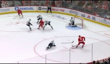 Did this clowning cost the Wings that 1 point to get to the playoffs?