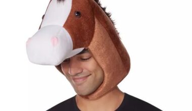 Would this Horse Head costume be prohibited in a stadium?