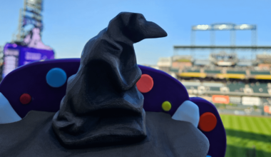 Dinger Crown! Harry Potter Night Edition: The Sorting Hat