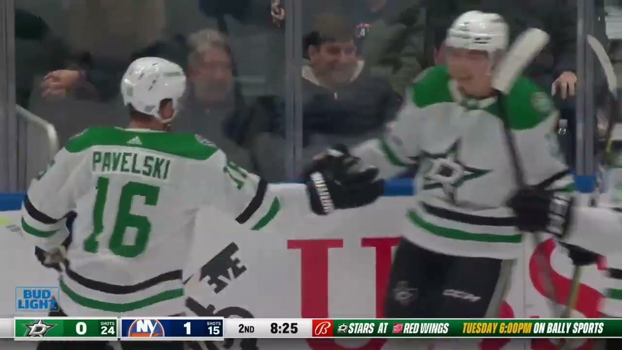 Jason Robertson 2023-24 NHL Dallas Stars Highlights