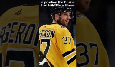 Boston Bruins Season Preview 24/25 : NHL Vibes Edition #nhl  #bostonbruins   #hockey