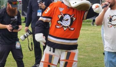 Wild Wing has a new look and it’s a little…unsettling.