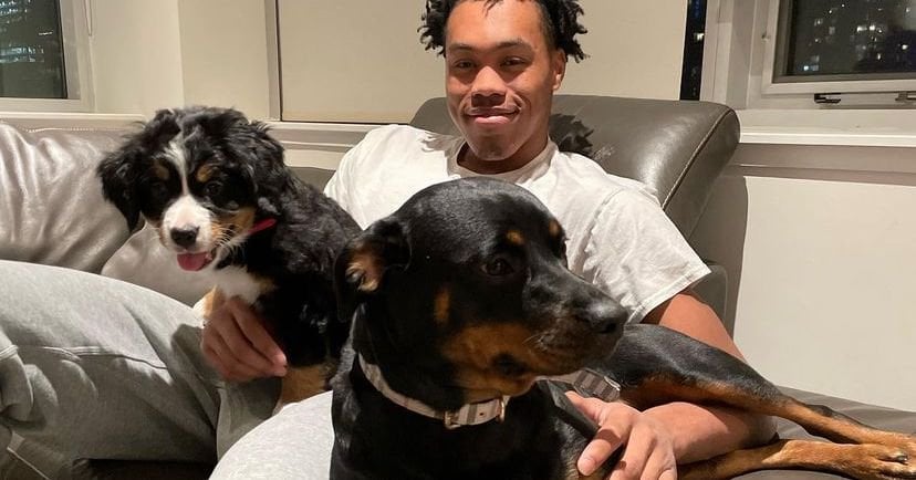 Toronto Raptors Players as Dog Breeds