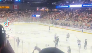 The crowd saying Salt Lake Sucks on a special moment of the coyotes under their last game