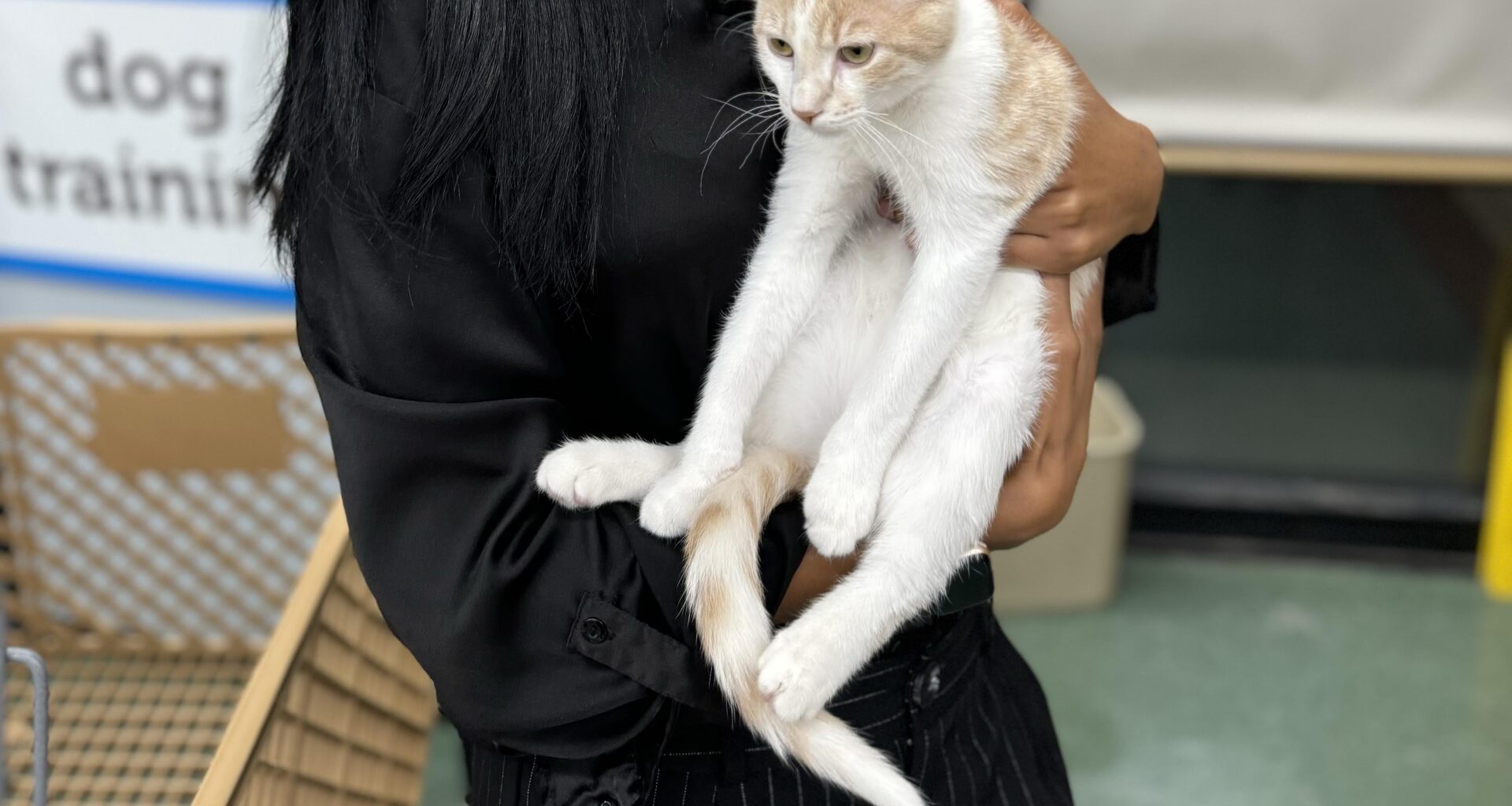 Help me name my kitten 🐈