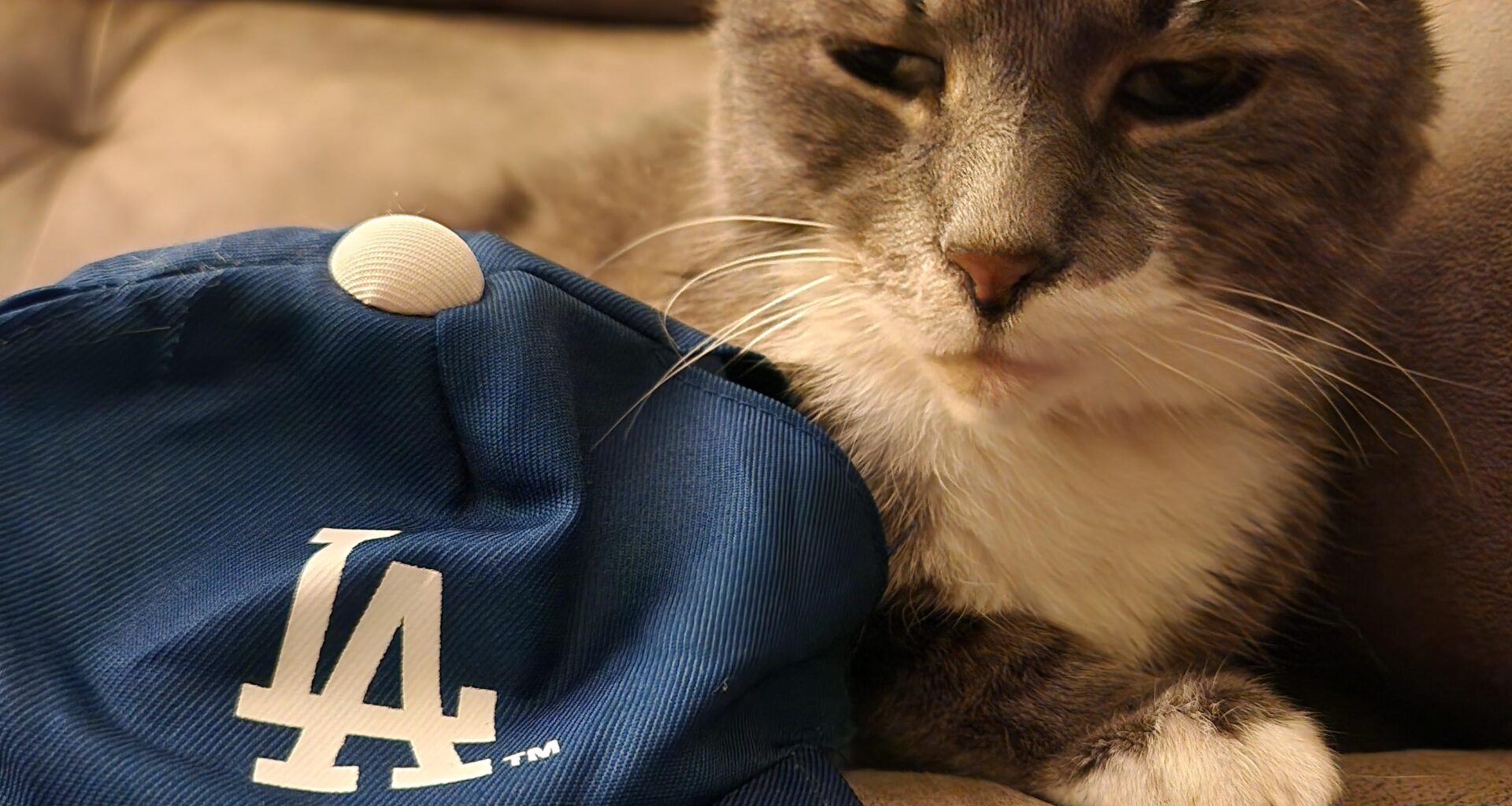 This furry little Dodger fan turned 20 today