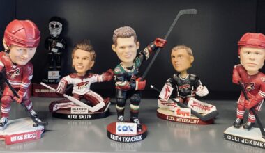 Estate sale bobblehead pickups