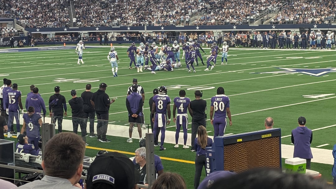 Made it out to the game. The flock was loud!