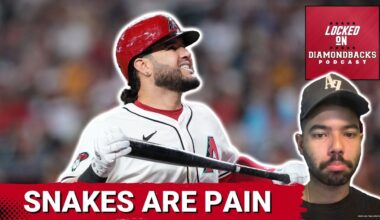 Arizona Diamondbacks No One to Blame But Themselves. Offseason Questions to Answer