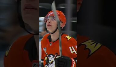 Silky Sennecke 👋😏🦆